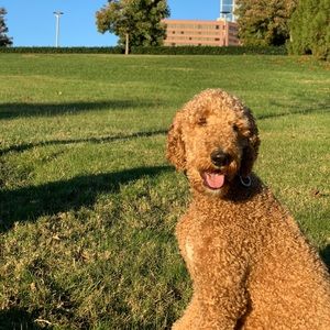 Meet your Posher, Jacob